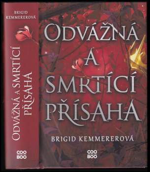 Kemmerer Brigid: Odvážná a smrtící přísaha