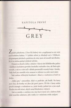 Brigid Kemmerer: Odvážná a smrtící přísaha