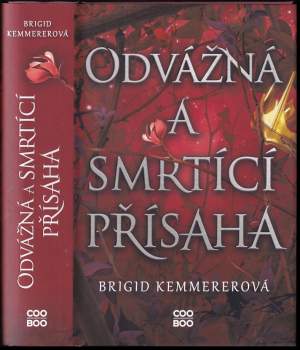 Brigid Kemmerer: Odvážná a smrtící přísaha