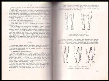 František Král: Ohař