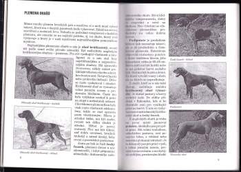 Jindřich Steinitz: Ohaři