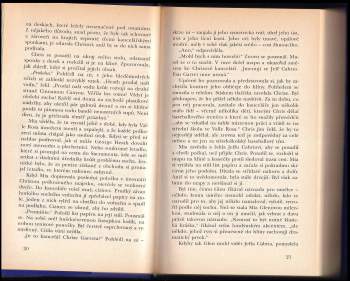 Diane Chamberlain: Oheň a déšť