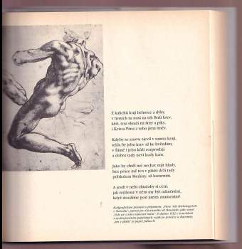 Michelangelo Buonarroti: Oheň, jímž hořím