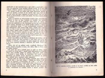 Joseph Conrad: Oheň pod palubou