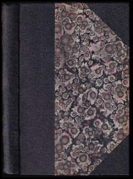 Ohlasy písní ruských a českých