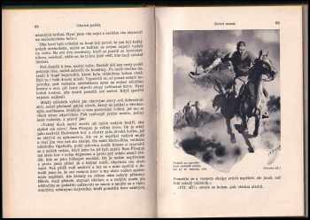 Karl May: Ohnivá puška
