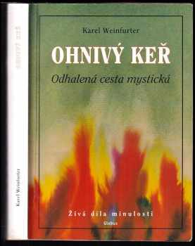 Ohnivý keř : odhalená cesta mystická - Karel Weinfurter (1998, Globus) - ID: 1636371