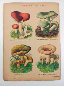 Charles Horace Snow: Ohnivý oblak - Rodokaps 312 (51) - Romány do kapsy - ročník VI.