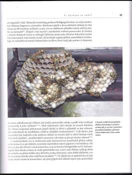 Jan Ždářek: Ohroženi hmyzem?