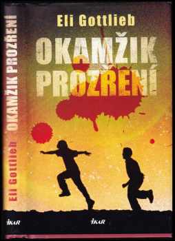 Okamžik prozření - Eli Gottlieb (2009, Ikar) - ID: 280722