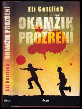 Okamžik prozření - Eli Gottlieb (2009, Ikar) - ID: 436035