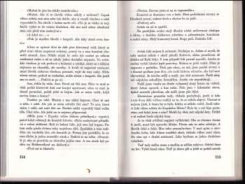 André Philippus Brink: Okamžik ve větru