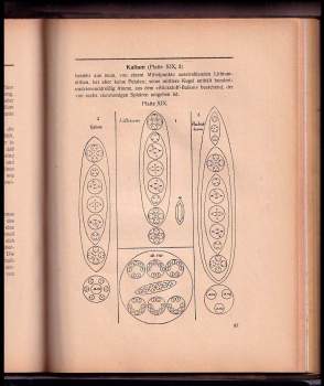 Annie Besant: Okkulte Chemie - Eine Reihe hellsichtiger Beobachtungen über die chemischen Elemente - Atomlehre von Annie Besant und C. W. Leadbeater - Autorisierte Übersetzung von R. Lange - Mit Beiträgen über "Forschungen in der okkulten Chemie" u. "Wie die okkulte Chemie geschrieben wurde" von Johan van Manen