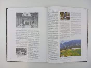 Irena Cichá: Okolím beskydského průsmyku