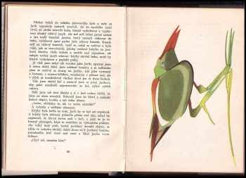 Michail Michajlovič Prišvin: Okouzlený poutník