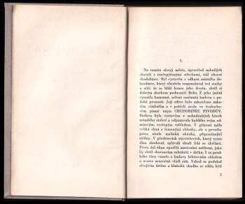Karel Poláček: Okresní město