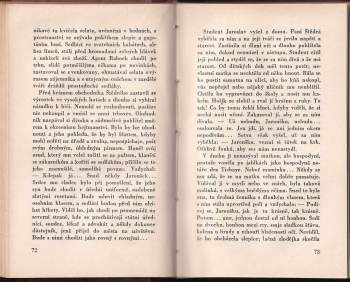 Karel Poláček: Okresní město