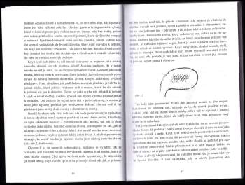 Rudolf Steiner: Okultní fyziologie
