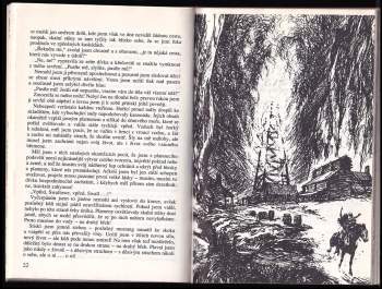 Karl May: Old Firehand