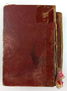 Karl May: Old Surehand