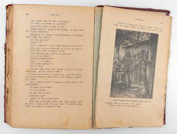 Karl May: Old Surehand