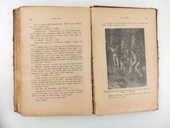 Karl May: Old Surehand