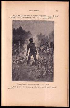 Karl May: Old Surehand