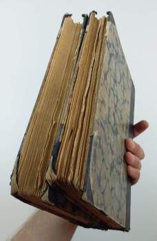 Karl May: Old Surehand