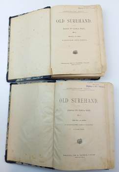 Karl May: Old Surehand