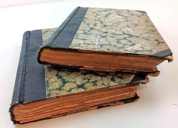 Karl May: Old Surehand