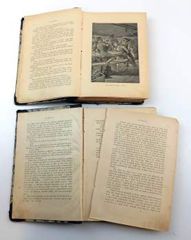 Karl May: Old Surehand