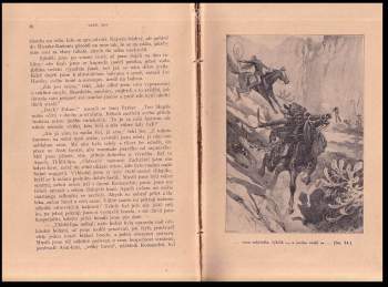 Karl May: Old Surehand