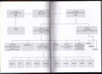 Anna Kubíková: Oldřich II. z Rožmberka