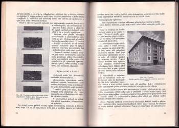 František Chroust: Omítky