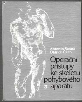 Operační přístupy ke skeletu pohybového aparátu