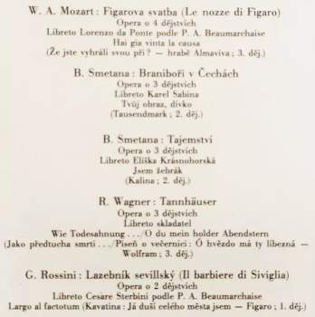 René Tuček: Operní Recitál