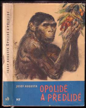 Opolidé a předlidé