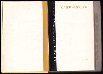 Lion Feuchtwanger: Oppermannové