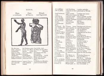 Jan Amos Komenský: Orbis sensualium pictus