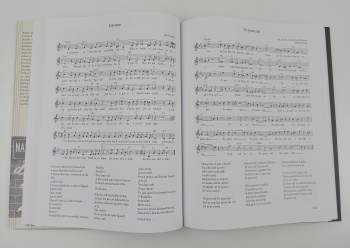 Přemysl Rut: Orchestrion v hlavě