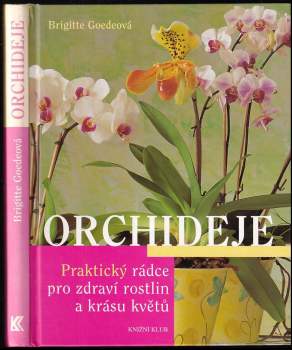 Orchideje