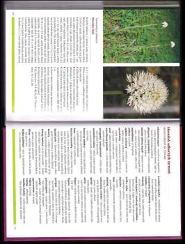 Helmut Baumann: Orchideje Evropy a přilehlých oblastí