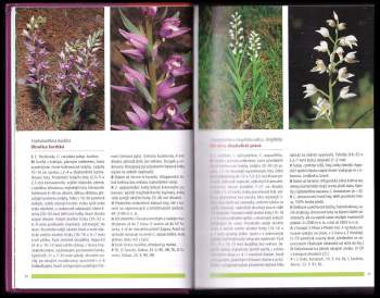 Helmut Baumann: Orchideje Evropy a přilehlých oblastí