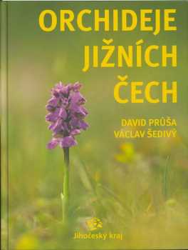 Orchideje jižních Čech