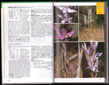 Karl Peter Buttler: Orchideje
