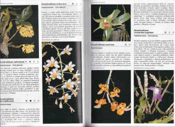 Zdeněk Ježek: Orchideje