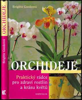 Orchideje