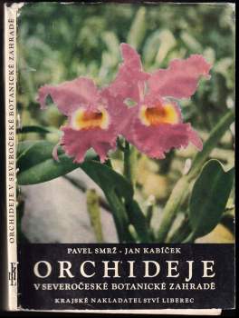 Orchideje v Severočeské botanické zahradě v Liberci