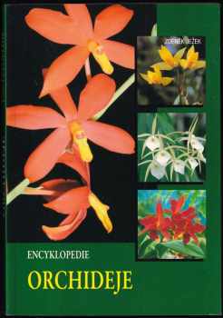 Orchideje
