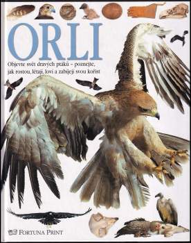 Orli